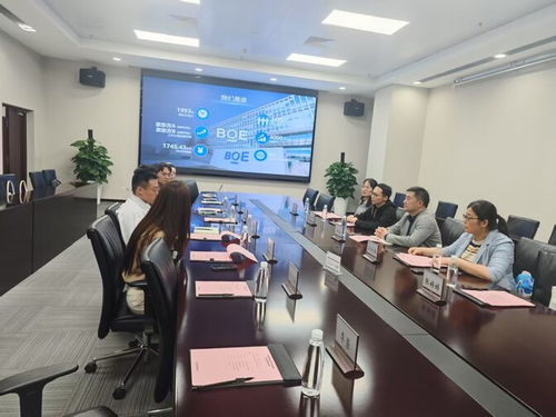 电 亮 京 招 电子与电气工程学院赴京东方科技集团访企拓岗