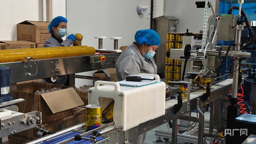 科技创新驱动产业升级 双轮驱动绿色发展